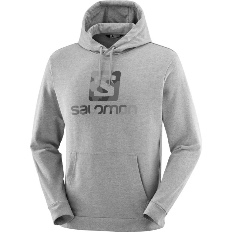 Sudadera Con Capucha Salomon Outlife Logo Summer Heather Hombre Grises | MX MJZH264